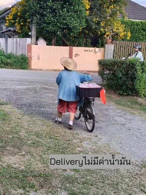 ปั่นจักรยานขายเห็ด:ความยั่งยืนของครัวเรือนภาคเกษตร