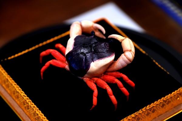 พิพิธภัณฑ์ค่ำคืนจุฬา68มองเมืองผ่านวิทยาศาสตร์