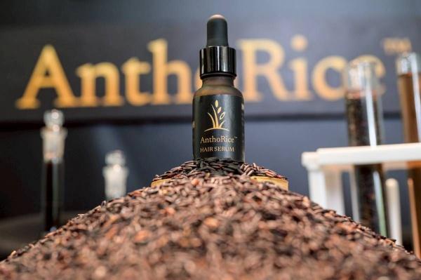 AnthoRiceนวัตกรรม’จุฬา-มหิดล’บำรุงรากผมจากข้าวไรซ์เบอร์รี่