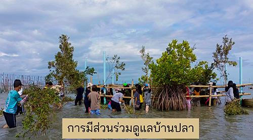 บ้านปลามีชีวิตฟื้นทรัพยากรสัตว์น้ำฟื้นประมงพื้นบ้านทะเลสาบสงขลา