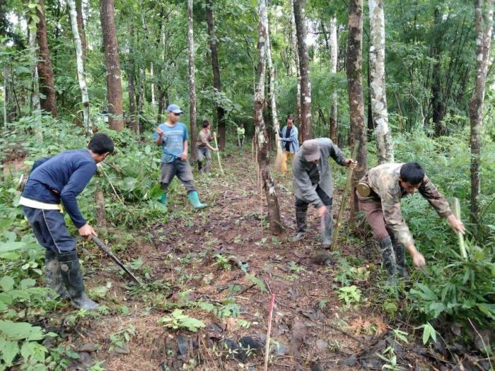 บอร์ด กฟผ.ให้ออก ผช.ผู้ว่าการฯ และพนักงาน รวม 8 คน กรณีปลูกป่า