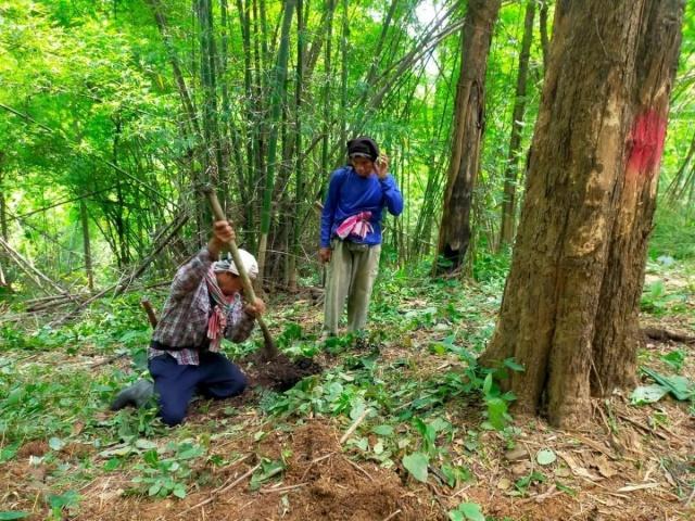 ผู้บริหาร-พนักงาน กฟผ. 8 คน ยังมีสิทธิอุทธรณ์คำสั่งให้ออกจากงาน