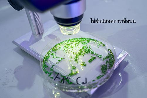 โชว์ต้นแบบฟาร์มไข่ผำพรีเมียมด้วยเทคโนโลยี IoT