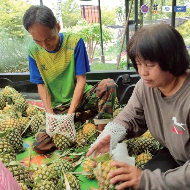 บุญดำรงค์กรีนฟาร์ม เครือข่ายธุรกิจชุมชนเข้มแข็งด้วยวนเกษตรอินทรีย์