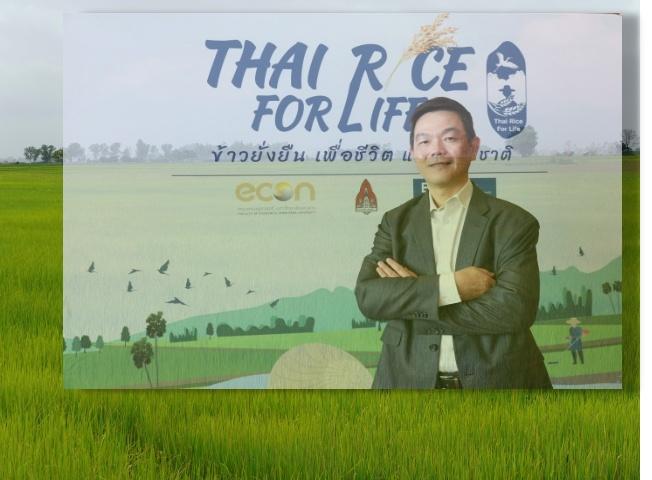 เปิดผลศึกษาข้าวยั่งยืนลดทุนลดมลพิษเพิ่มรายได้ตปท.ต้องการ